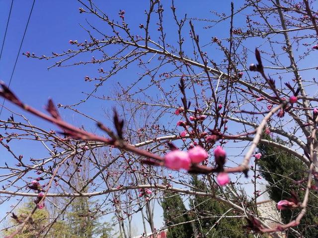 那一刻我们长大了五年级作文，小学生同步优秀作文