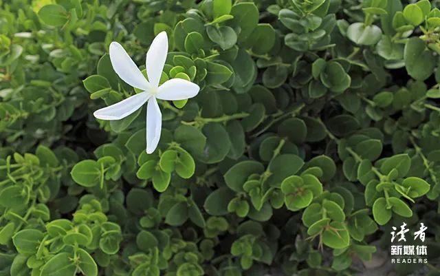 正能量文案短句，正能量文案短句干净治愈（10条正能量文案）