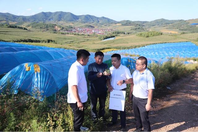 农户小额贷款授信额度多少，农户小额贷款授信额度多少钱（邮储银行吉林省分行三农小贷业务累计投放突破1000亿）