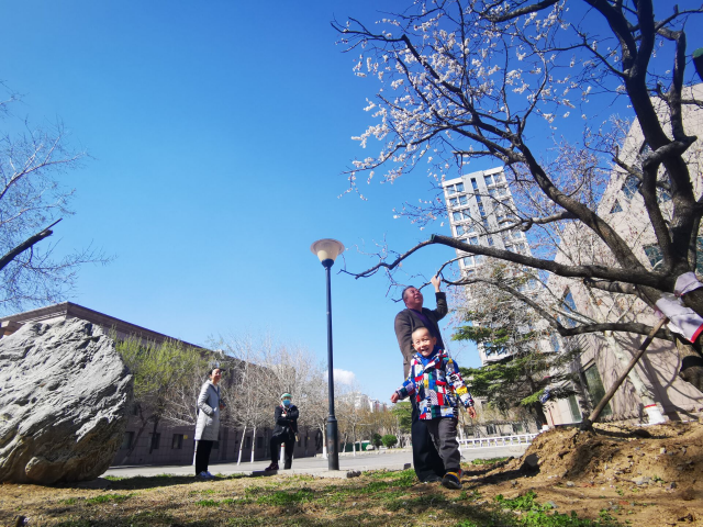 东营搬家公司哪家好，东营搬家公司哪家性价比高（跟着搬家的还有这些“老朋友”）