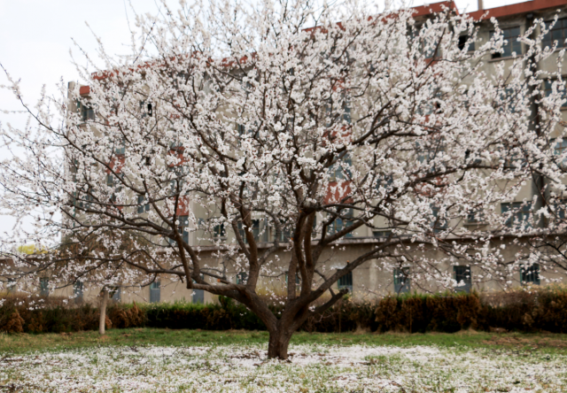东营搬家公司哪家好，东营搬家公司哪家性价比高（跟着搬家的还有这些“老朋友”）