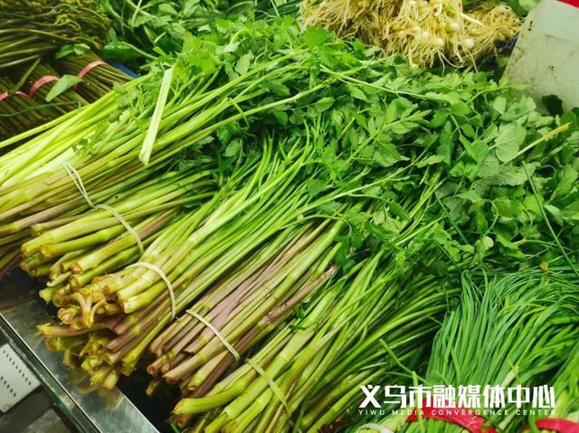 胡葱的功效与作用，吃洋葱对人体有什么好处呢（义乌菜市场这类菜占“C位”）