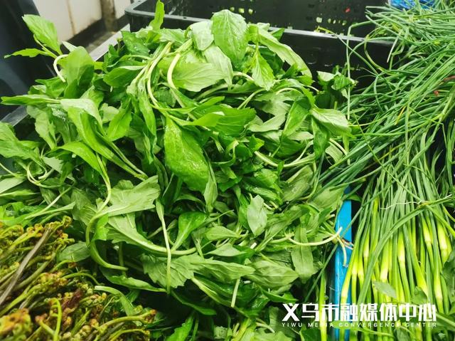 胡葱的功效与作用，吃洋葱对人体有什么好处呢（义乌菜市场这类菜占“C位”）