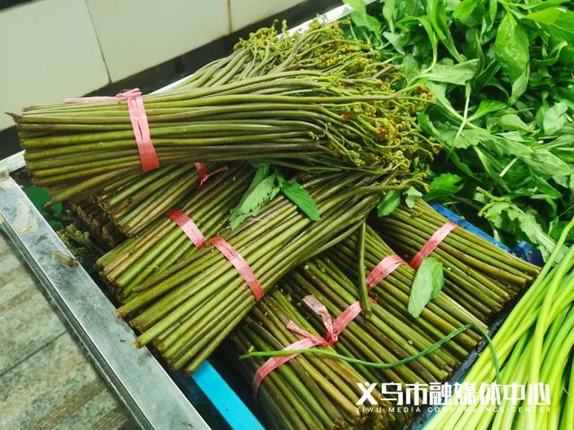 胡葱的功效与作用，吃洋葱对人体有什么好处呢（义乌菜市场这类菜占“C位”）