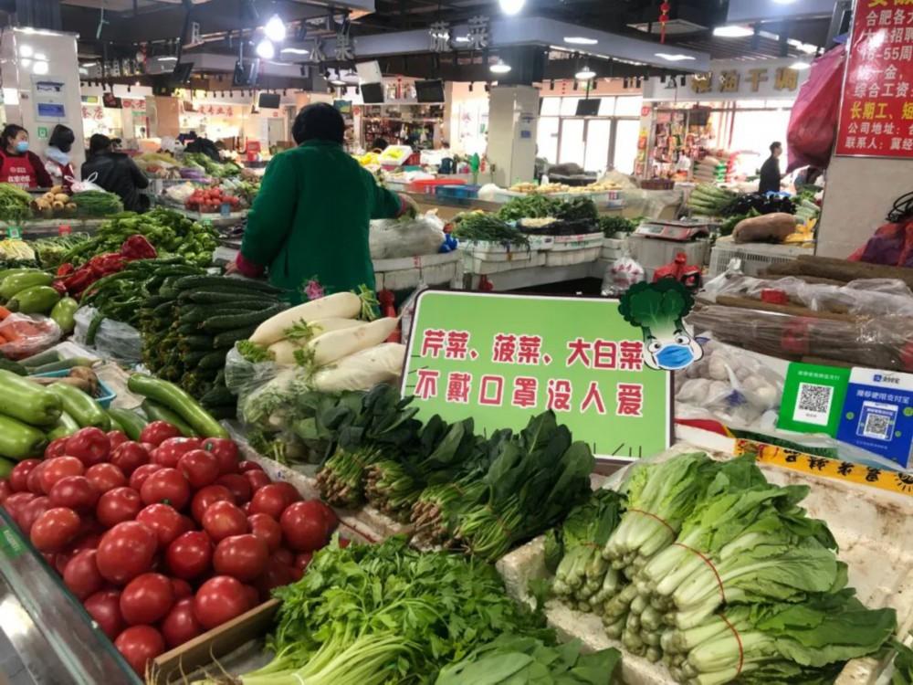 保護動物的標語二年級（保護動物簡筆畫二年級）