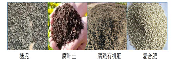 柠檬树的种植，柠檬树的种植条件（盆栽技术要点在这里）