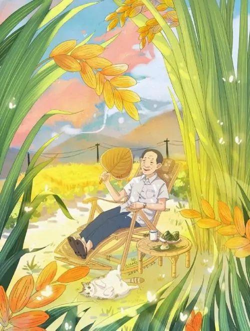 钾肥是什么肥料，氮磷钾肥是什么肥料（为什么是钾肥）