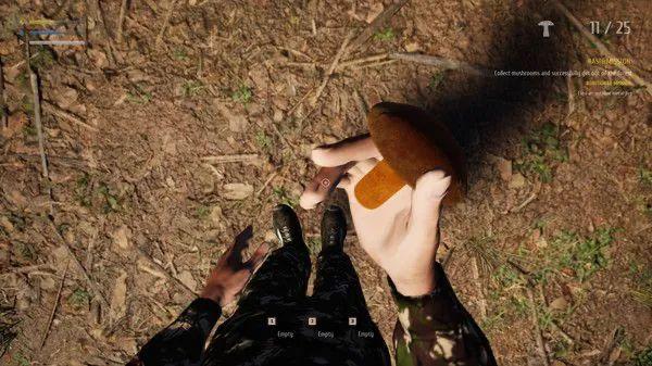 模拟器是什么，和平精英模拟器是什么（没有人能够拒绝模拟器游戏）