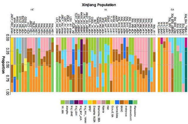 中国人棕色瞳孔多吗，如何自然改变眼睛颜色（中国新疆人群五千年来如何演化）
