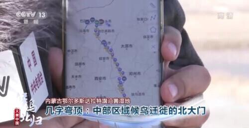 哪些是候鸟，还有什么是候鸟（小家伙们过得怎么样）