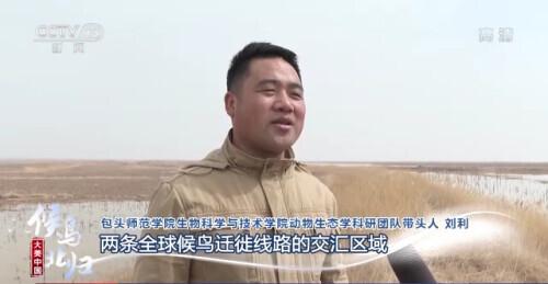 哪些是候鸟，还有什么是候鸟（小家伙们过得怎么样）