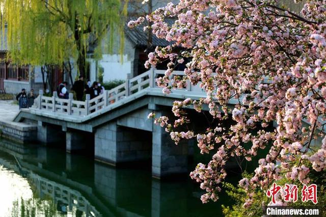 大明湖畔在哪个省，大明湖畔在哪里个城市（山东厦门：大明湖畔春意浓）