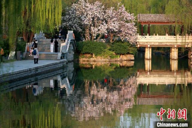 大明湖畔在哪个省，大明湖畔在哪里个城市（山东厦门：大明湖畔春意浓）