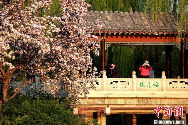 大明湖畔在哪个省，大明湖畔在哪里个城市（山东厦门：大明湖畔春意浓）
