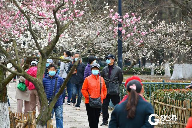 清明小长假第1天，2021清明节放假安排几天（清明节假期第一天的“打开方式”）