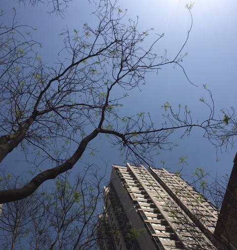 什么是封闭图形，什么叫封闭图形（陕西部分收费站封闭、限行）