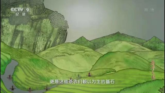 绿茶是什么意思，女生绿茶是什么意思（茶叶背后的故事：红茶与绿茶）