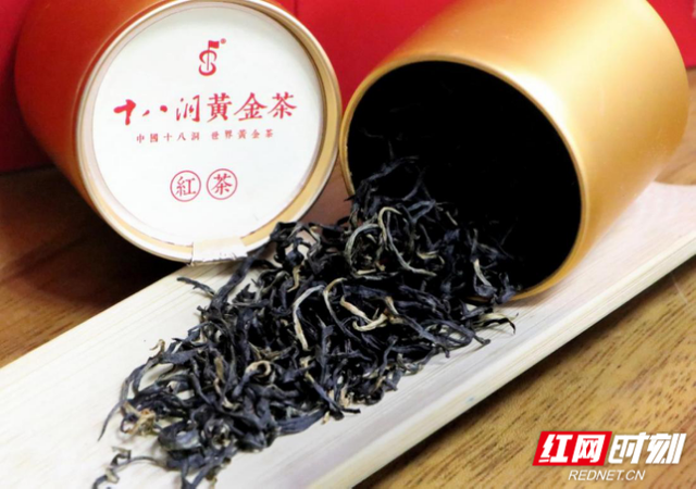 黄金茶属于什么茶，茶黄金是什么东西（花垣县：中国十八洞）