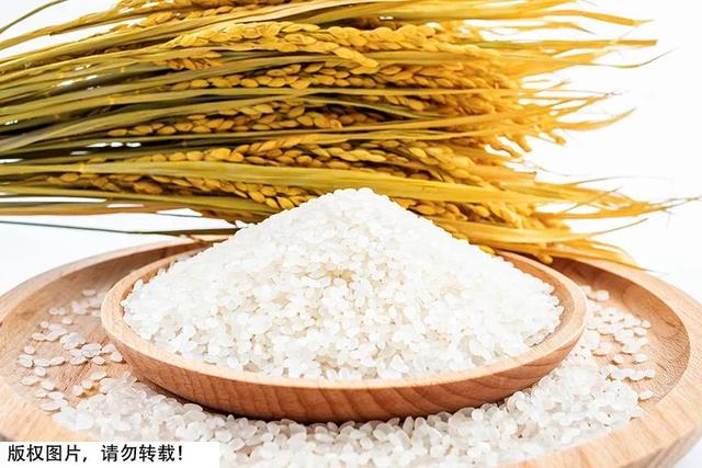 喝可乐真的会变胖吗，可乐喝了会不会变胖（0糖0卡0脂肪饮料更健康）