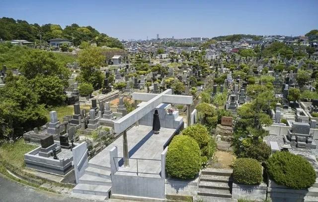 女孩叫crystal的意思，crystal是什么意思（那些诞生于“死亡空间”的永恒与新生）