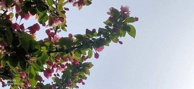 春天的故事，春天的故事教案（春天的故事中的一位老人是谁）