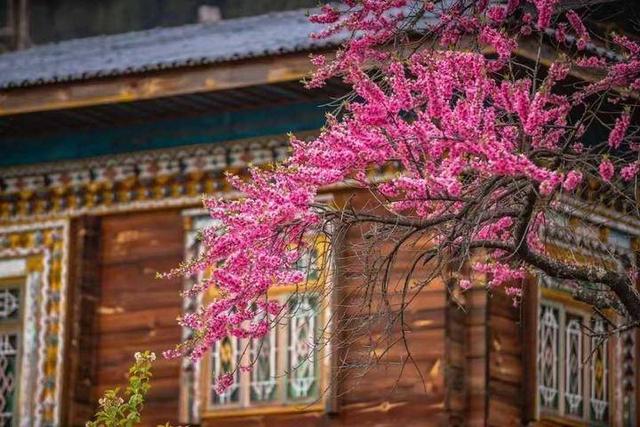 春天的故事，春天的故事教案（春天的故事中的一位老人是谁）