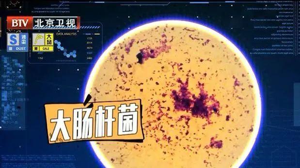 生蚝怎么存放，生蚝怎么存放冰箱（到底要不要放冰箱冷藏）