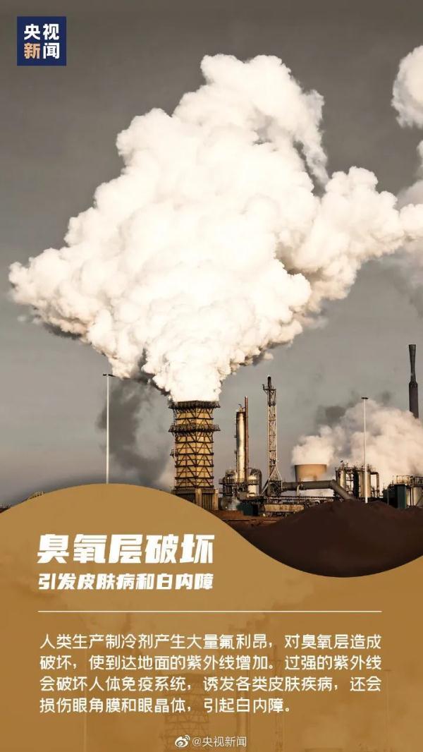 2022世界卫生日是几月几日 世界卫生日是哪月哪日，2022世界卫生日是几月几日（世界卫生日）