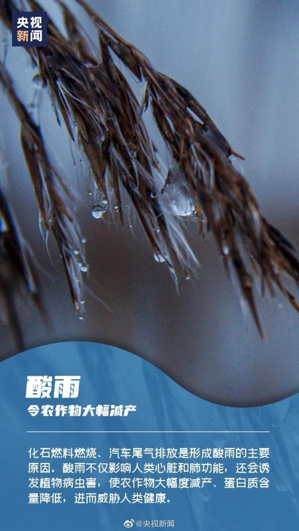 2022世界卫生日是几月几日 世界卫生日是哪月哪日，2022世界卫生日是几月几日（世界卫生日）