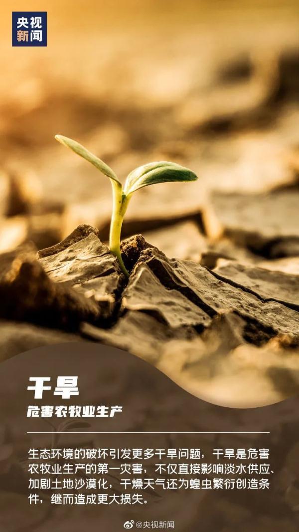 2022世界卫生日是几月几日 世界卫生日是哪月哪日，2022世界卫生日是几月几日（世界卫生日）