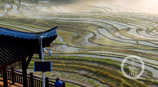盐井属于哪个省，一半山水一半村“盐井梯田”成仙境（盐田属于哪个省）