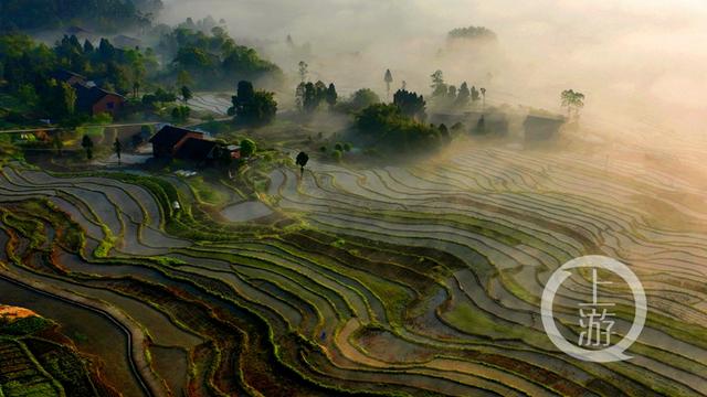 盐井属于哪个省，一半山水一半村“盐井梯田”成仙境（盐田属于哪个省）
