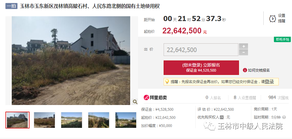 司法拍卖土地（司法拍卖丨国有土地使用权）