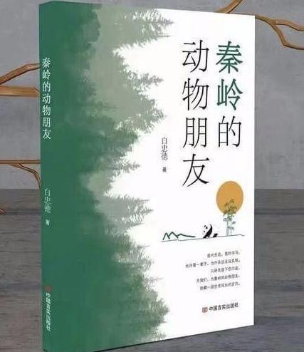 人与动物的感人故事，人与动物鹭港相处的感人故事（秦岭里人与动物的鹭港共生）