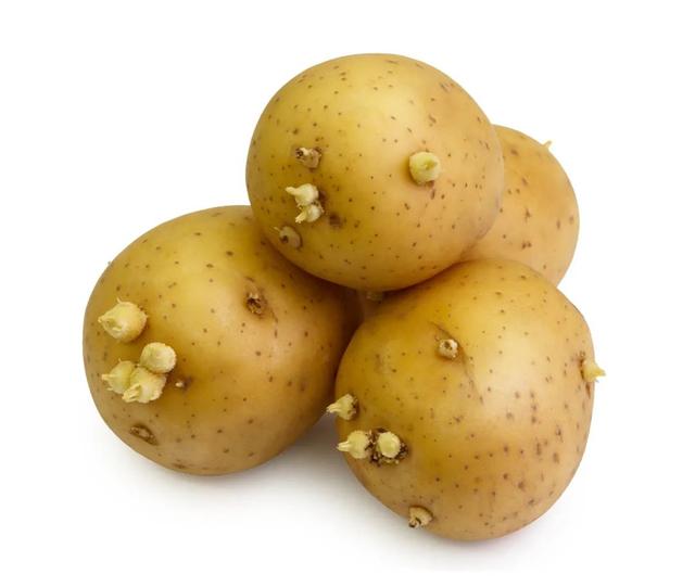 西兰花变黄了还能吃吗，西兰花正确的焯水方法（囤的菜发芽、变色了别急着扔）