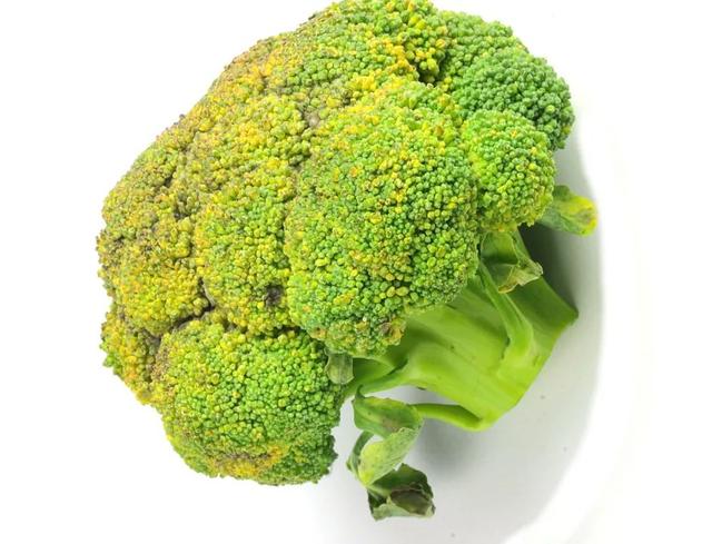 西兰花变黄了还能吃吗，西兰花正确的焯水方法（囤的菜发芽、变色了别急着扔）