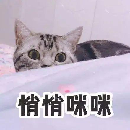 耳机测试音乐(什么音乐可以测试耳机音质)