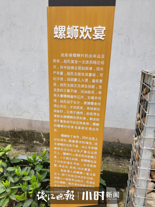 70后的童年：如何吃螺丝，70后的童年（听说过“耙螺蛳”这门非遗手艺吗）