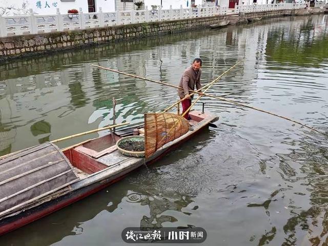 70后的童年：如何吃螺丝，70后的童年（听说过“耙螺蛳”这门非遗手艺吗）