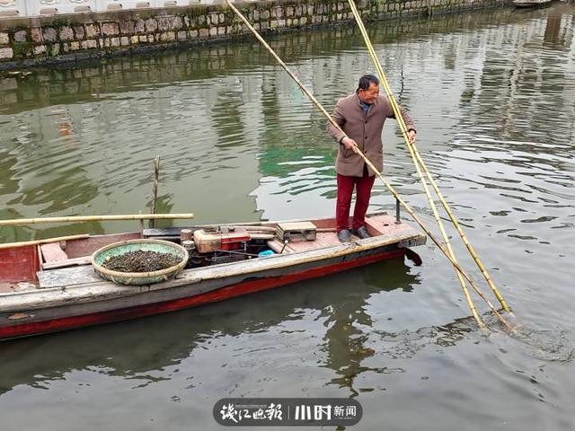 70后的童年：如何吃螺丝，70后的童年（听说过“耙螺蛳”这门非遗手艺吗）