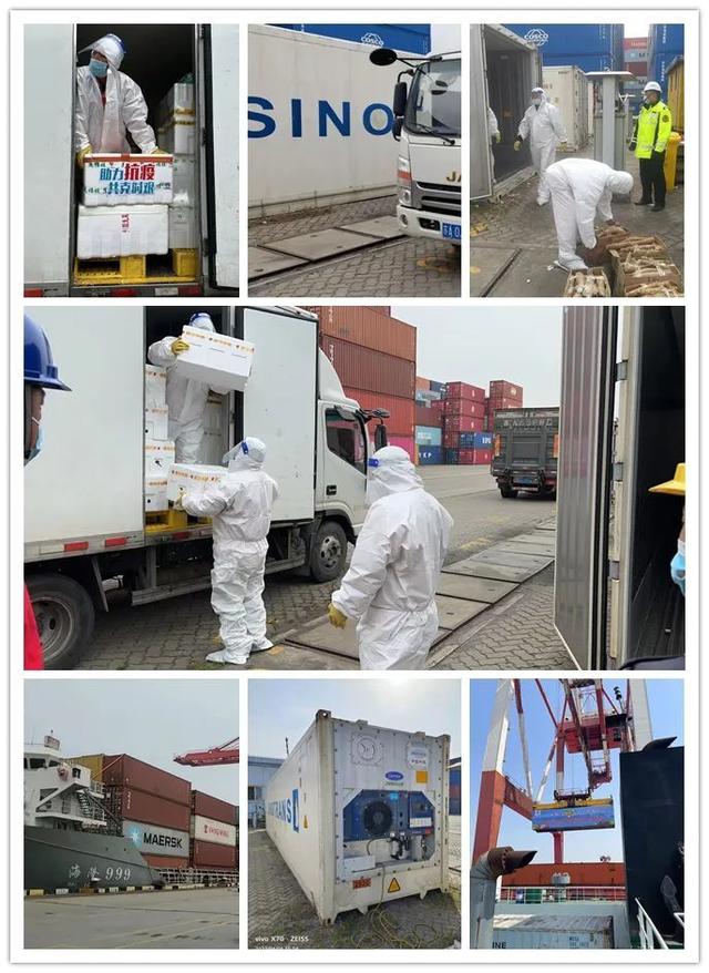 海运eir是什么费用，eir是什么费用（水陆联动，数字赋能）