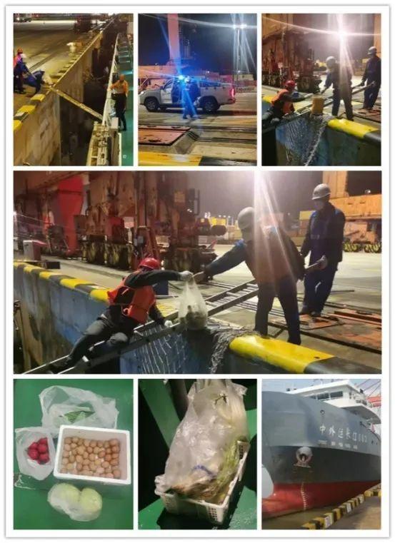 海运eir是什么费用，eir是什么费用（水陆联动，数字赋能）