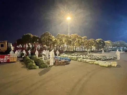 海运eir是什么费用，eir是什么费用（水陆联动，数字赋能）