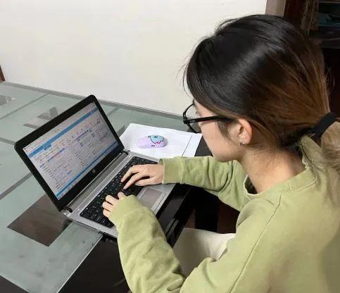 海运eir是什么费用，eir是什么费用（水陆联动，数字赋能）