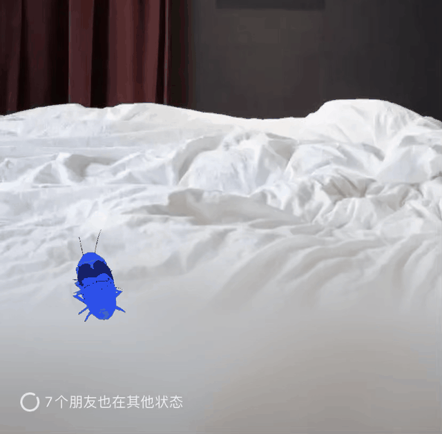 女生摄像头像微信，女生摄像头像（被网友们玩坏了哈哈哈）