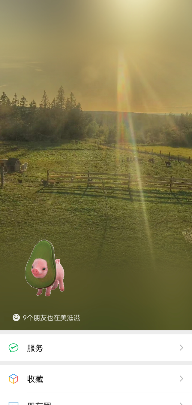 女生摄像头像微信，女生摄像头像（被网友们玩坏了哈哈哈）