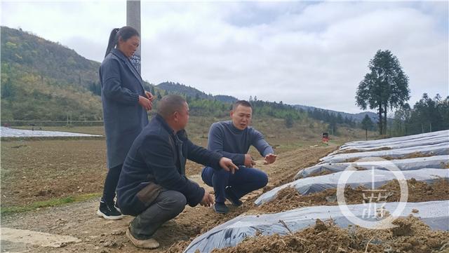 重庆碳排放权交易中心，重庆个人碳交易怎么开户（将3万多吨碳减量变成90万元“真金白银”）