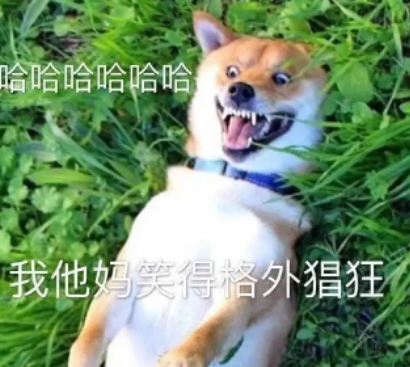 女生摄像头像微信，女生摄像头像（被网友们玩坏了哈哈哈）