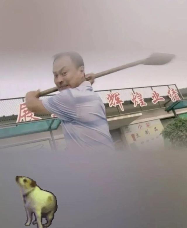 女生摄像头像微信，女生摄像头像（被网友们玩坏了哈哈哈）