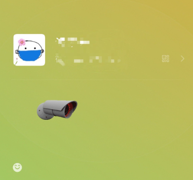 女生摄像头像微信，女生摄像头像（被网友们玩坏了哈哈哈）